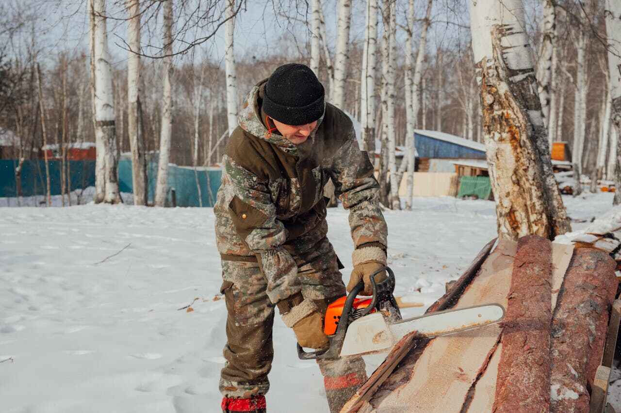 North Eagle Butte, SD Tree Service Company